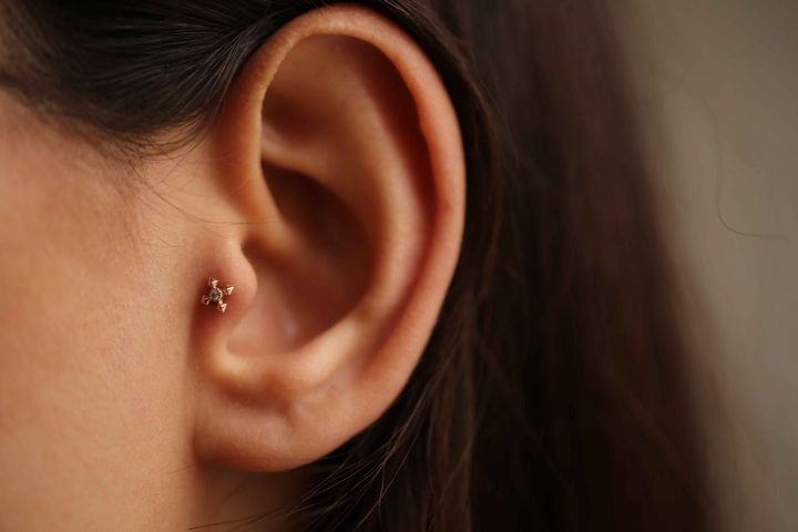 4 Ok Tragus - REİS