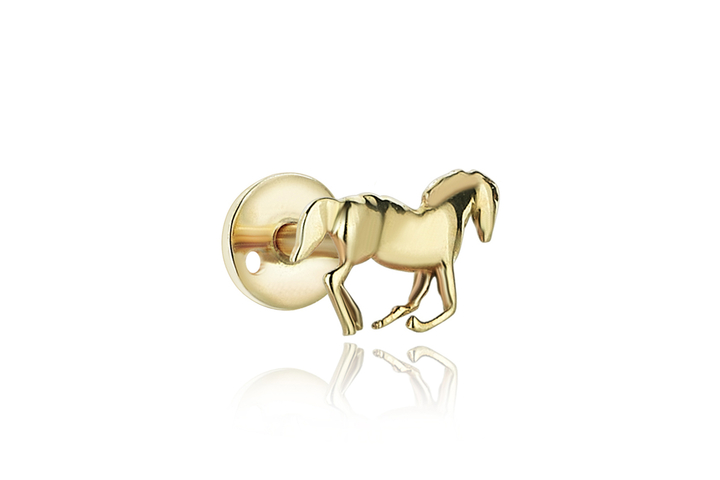 Bold Pilot Tragus - REİS (1)