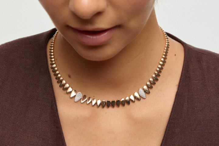 Colmillo - REİS (1)