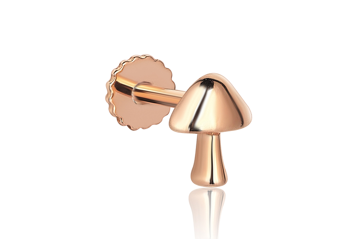 Mush Tragus - REİS (1)