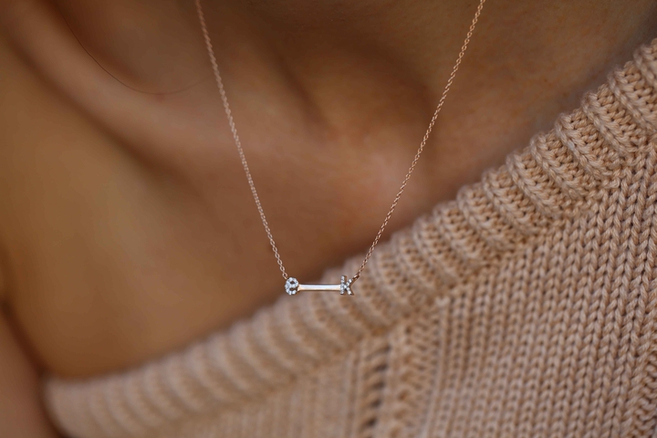 Pırlanta Harf Kolye - REİS