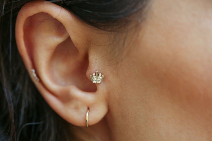 Queen Tragus - REİS