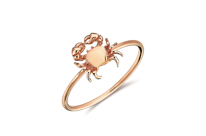 The Crab Ring - REİS (1)