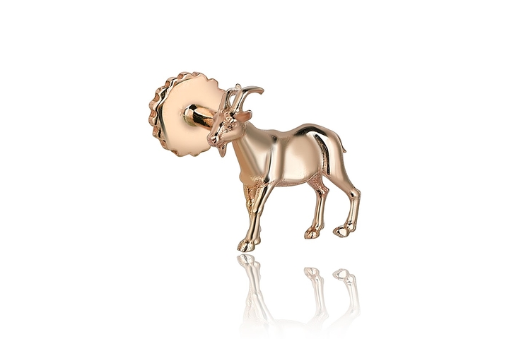 The Goat Tragus - REİS (1)